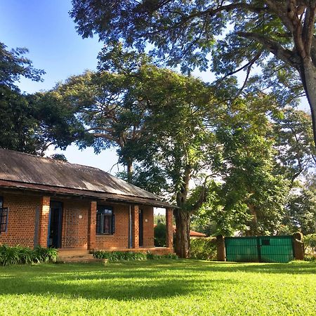 Africawildtruck Eco Camp & Lodge Mulanje エクステリア 写真